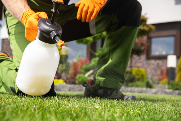Best Wildlife Control Services  in Mulino, OR