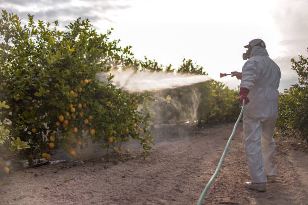 Best Affordable Pest Control Services  in Mulino, OR