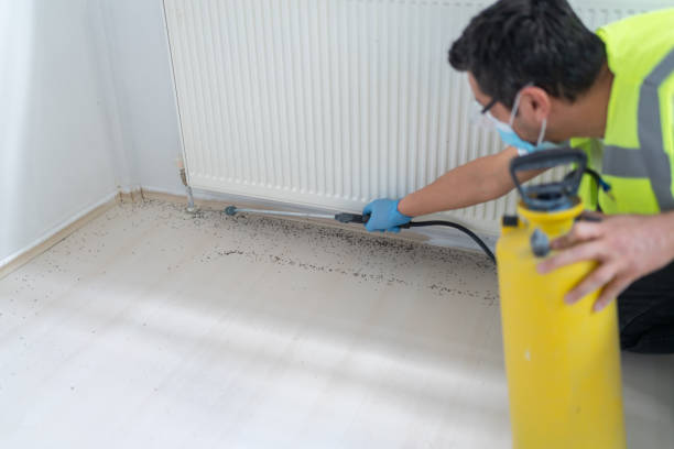 Best Pest Inspection Near Me  in Mulino, OR